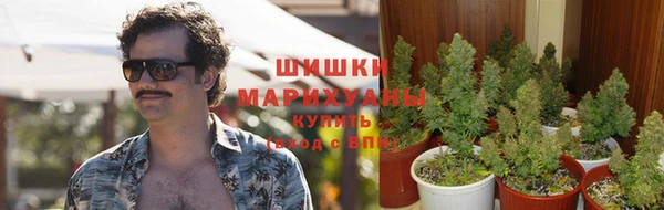 spice Куйбышев