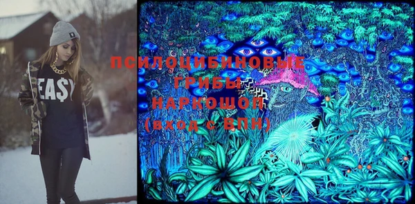 spice Куйбышев